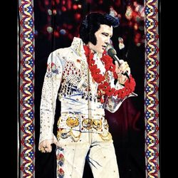 Vintage New Elvis Presley Tapestry From 1985 Aloha From Hawaii for Sale in Wolcott CT OfferUp