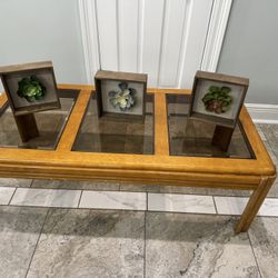 Coffee table and decoration  Measure below  L-47” H-16” W-23”