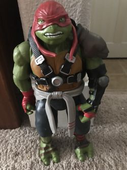 Ninja turtle