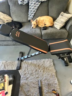Workout Bench and Weights