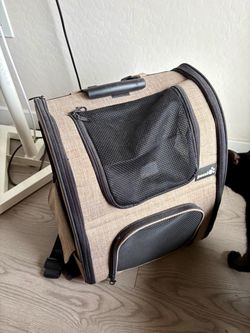 Kitty carrier 30$