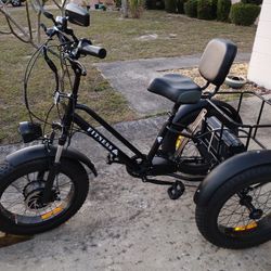 Electric Bike Trike 