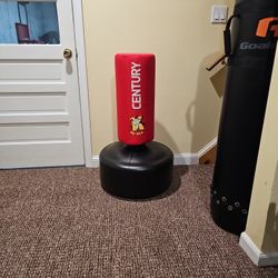 Century Kid Kick Wavemaster