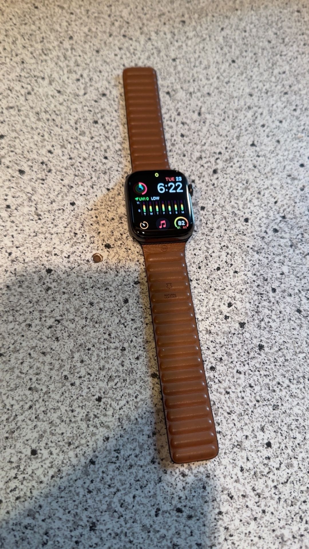 Apple Watch Series 7 45mm Graphite Stainless Steel + Leather Link Band 