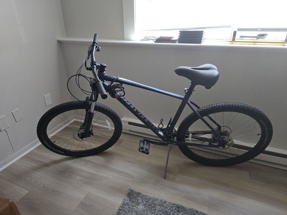 Mountain bike