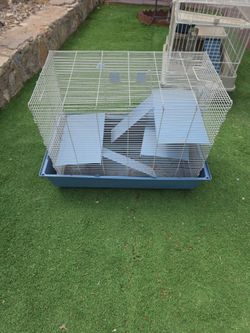 Rat or hamster cage