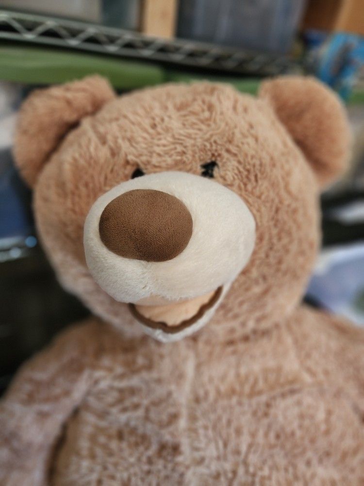 Big Plush Bear 🧸 FREE