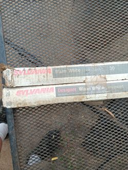 2-36" T-12 Fluorescent Tube's  32w 