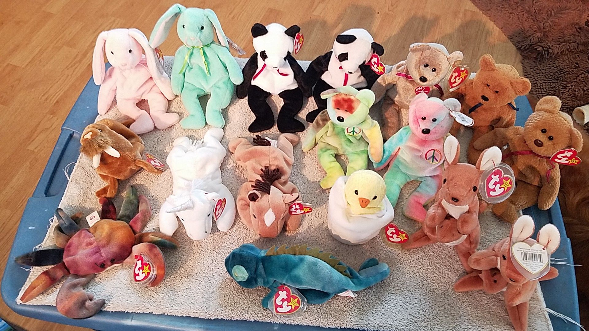 TY Beanie Babies