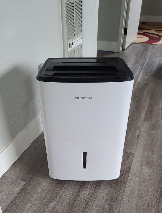 Frigidaire Dehumidifier To Prevent Mold And Mildew