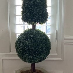 Topiary 