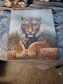 Tiger picture