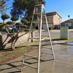 Ladder 