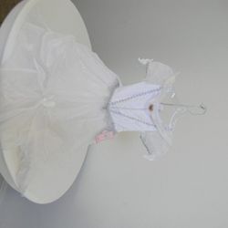 Child's Disney Princess Bride Dress