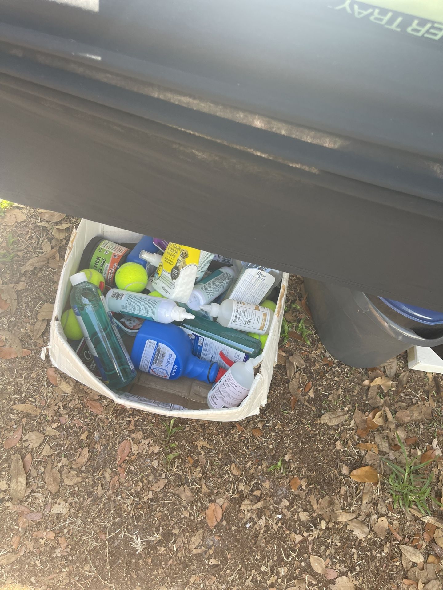 Box Of Dog Supplies