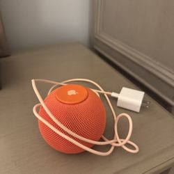 Home Pod Mini