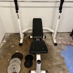 Olympic Bench And Squat Rack