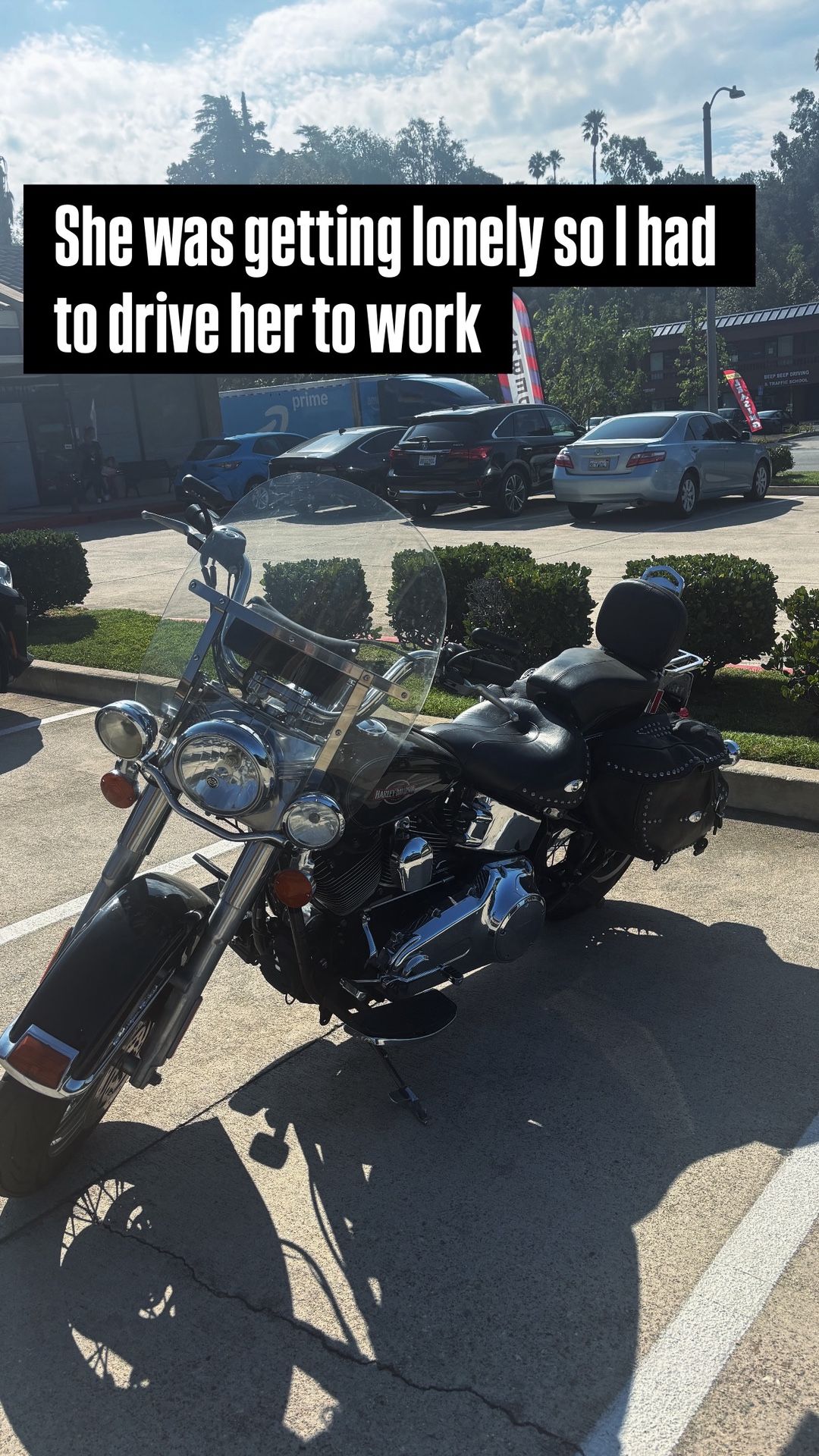 2007 Harley Davidson Softtail Classic