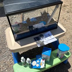 Small Aquarium Complete With Accessories And Supplies Like New Condition Ready