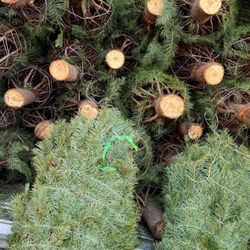 Fresh Cut Trees Arboles De Navida $60