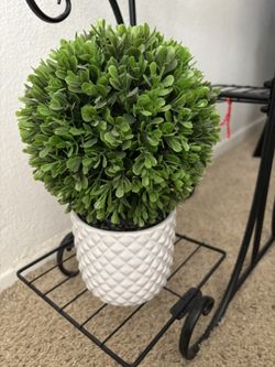 Artificial Decorative Plant