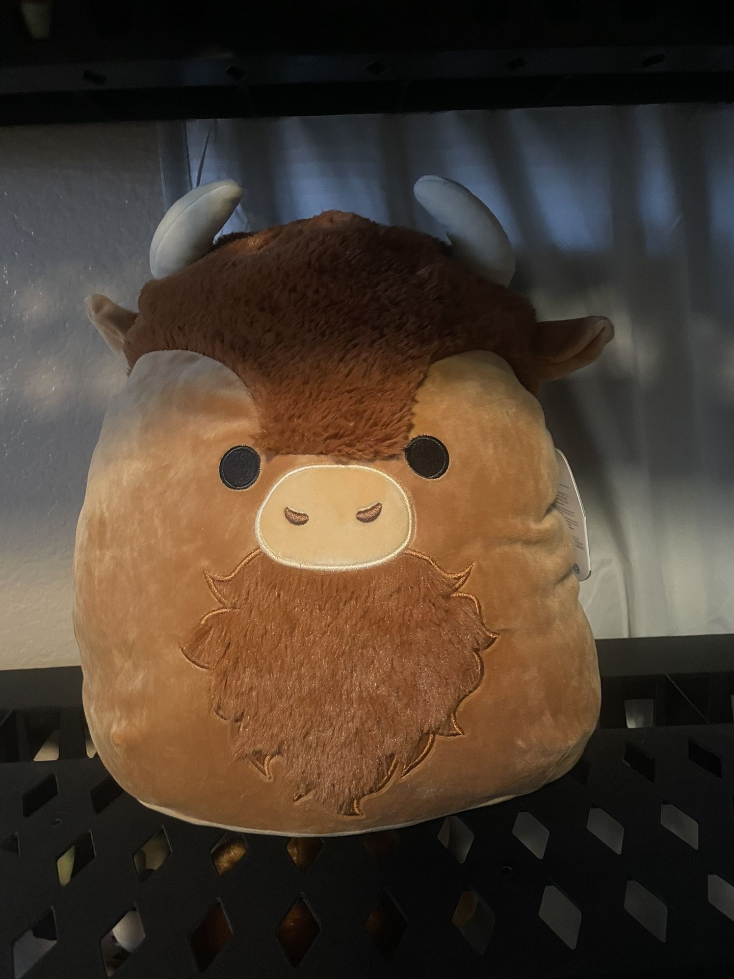 12” Dunkie The Cow Squishmallow 