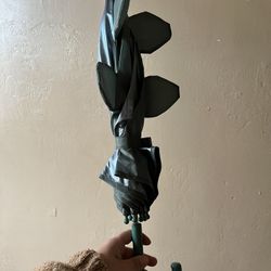 Kids Dinosaur Umbrella 