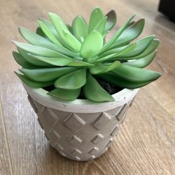 Artificial Succulent in pot
