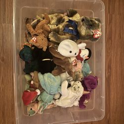 Whole Bin of TY Beanie Babies