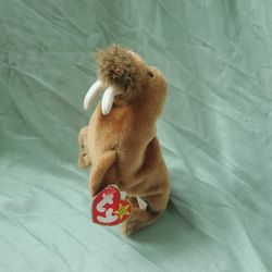 TY Beanie Baby, Paul The Walrus, Vintage