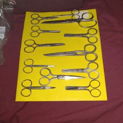 Lot B: Scissors 