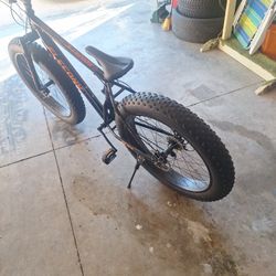Fat Tire Bike