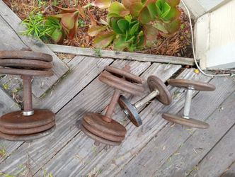 Weights And Bench