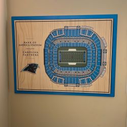 Carolina Panthers Frame