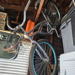 Beach Cruiser
