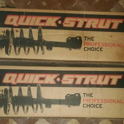 2006-2010 Hyundai Sonata Quick-Strut Suspension