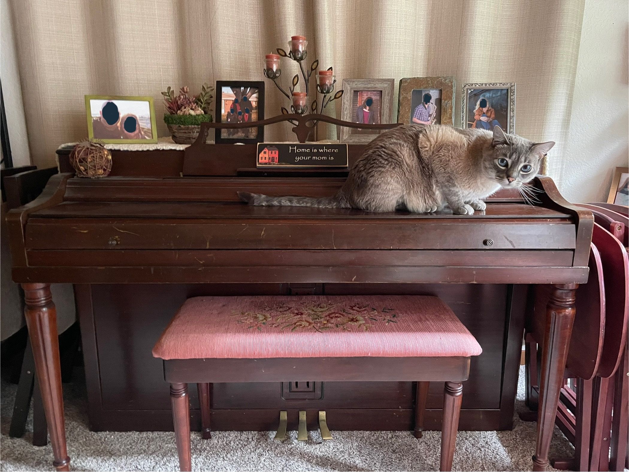 Free Piano (Without Cat)