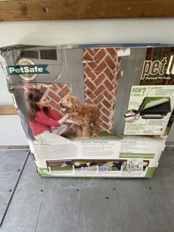 Pet safe portable indoor/outdoor dog potty large