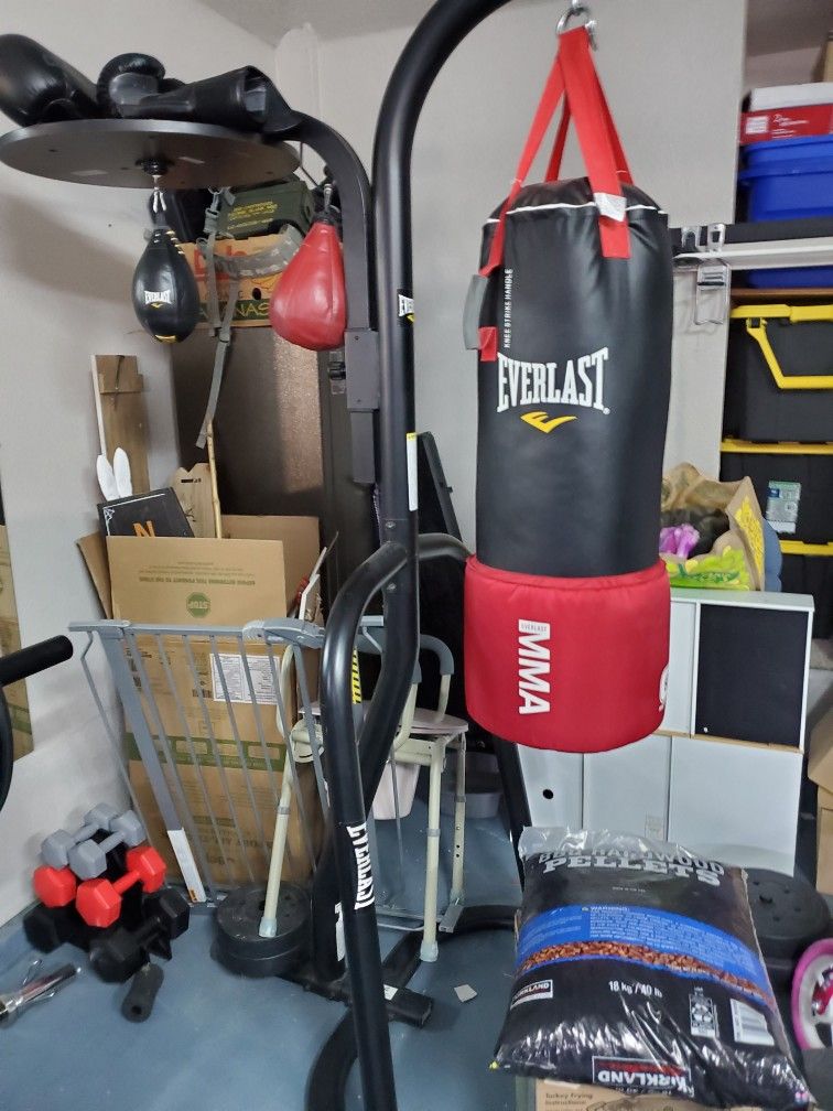 Everlast Punching MMA Heavy Bag And Speed Bag Stand