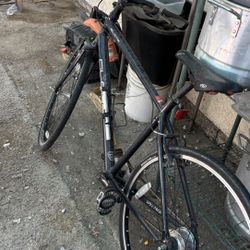 Specialized Road/Hybrid Bike