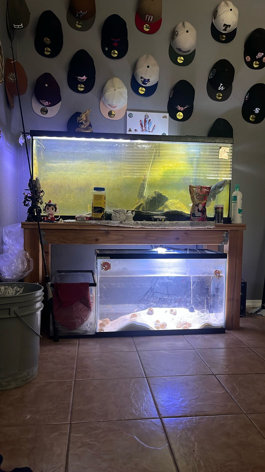 Fish Tank