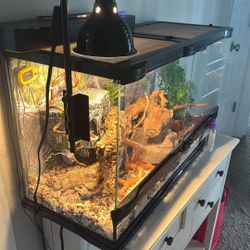 Free Tank Comes With EVERYTHING 