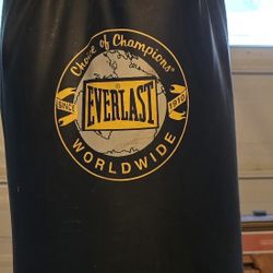 Punching Bag