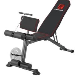 Weight Bench for Home Gym