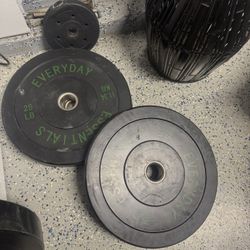 Everyday Fitness Olympic bumper plates 25LB