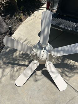 Ceiling Fan