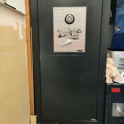 Older Gun Safe