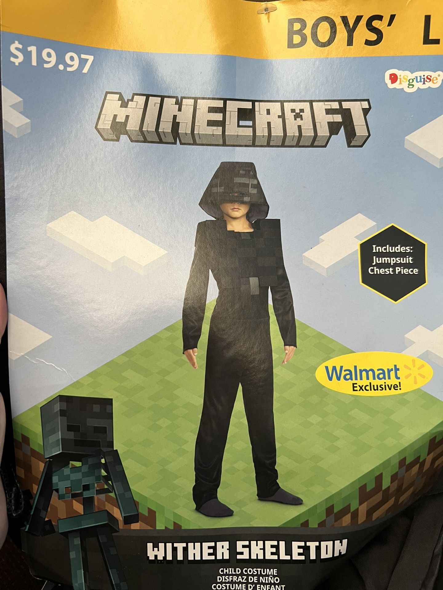 Minecraft Wither Skeleton Boys 10/12