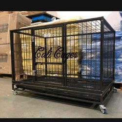 boy smile Dog Houses & Pet Shelters – A Warm and Comfortable Haven!