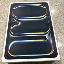 Apple iPad Pro 11” WiFi Space Black M4 MASSIVE 512gb Storage $1350 MSRP